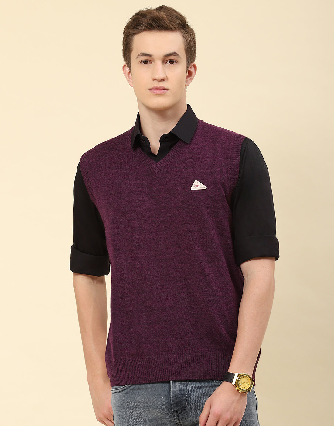 Men Purple Solid V Neck Sleeveless Sweater