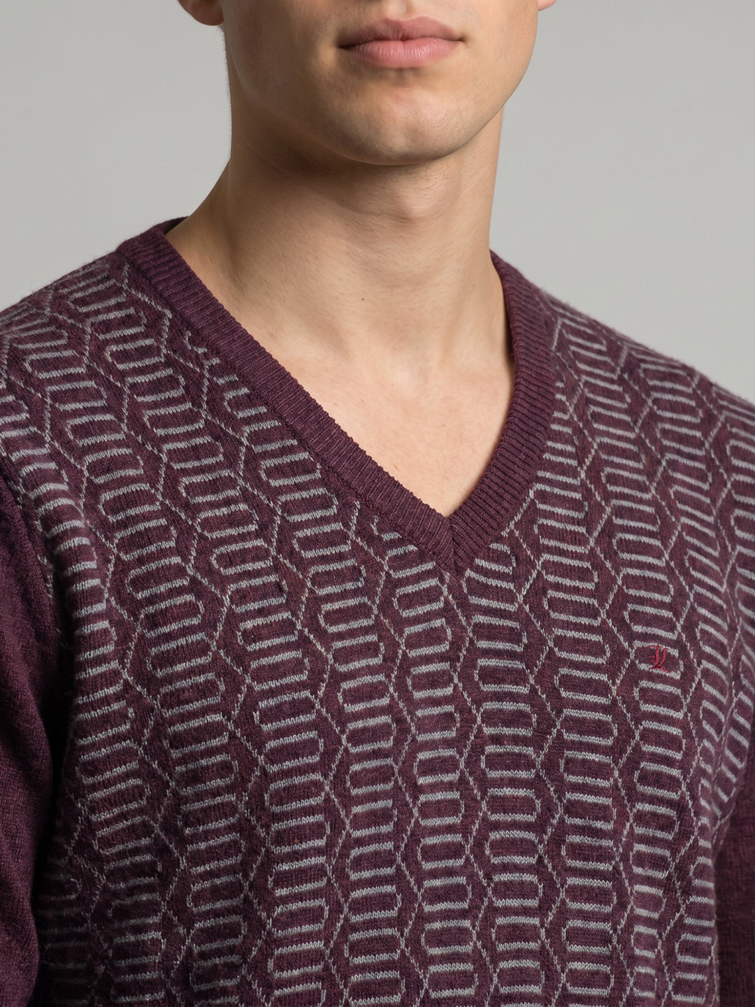 Luxuria Men Purple Jacquard V Neck Full Sleeve Pullover