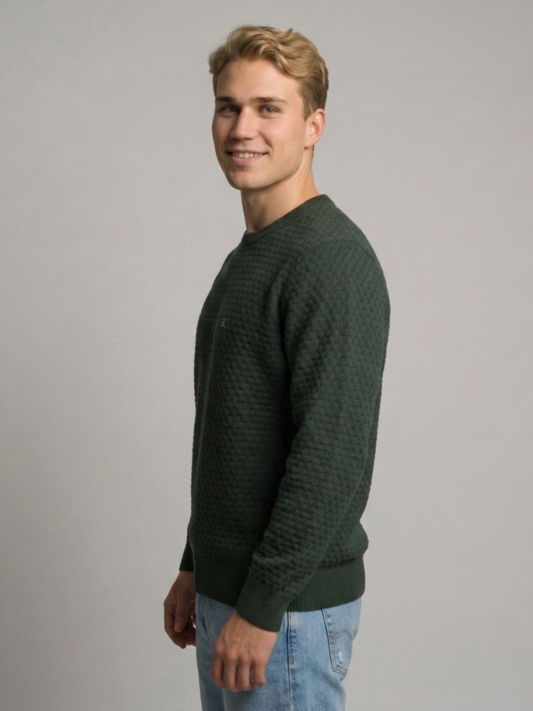 Luxuria Men Olive Self Design Round Neck Full Sleeve Pullover