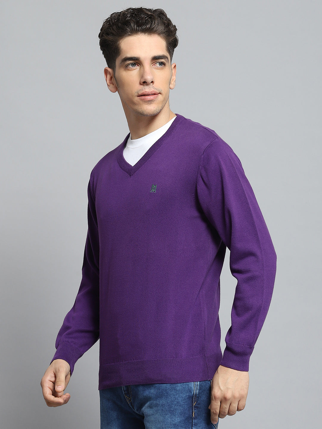 Men Purple Solid V Neck Full Sleeve Pullover