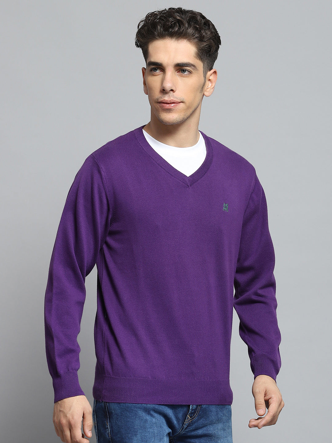 Men Purple Solid V Neck Full Sleeve Pullover