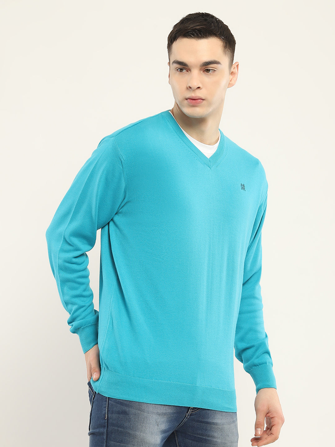 Men Blue Solid V Neck Full Sleeve Pullover
