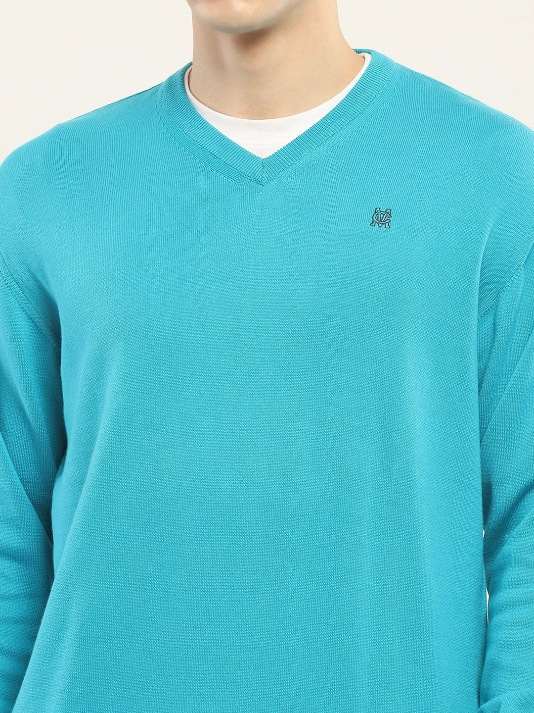 Men Blue Solid V Neck Full Sleeve Pullover