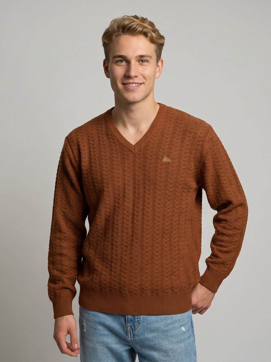 Men Rust Self Design V Neck Full Sleeve Pullover