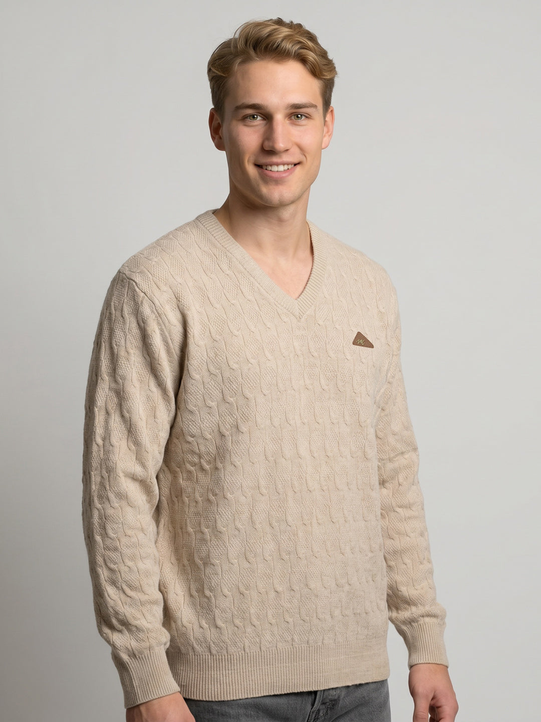 Men Beige Self Design V Neck Full Sleeve Pullover