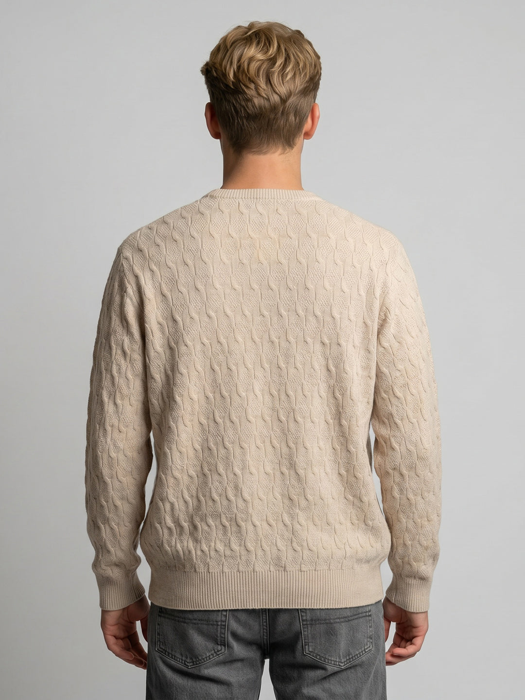 Men Beige Self Design V Neck Full Sleeve Pullover