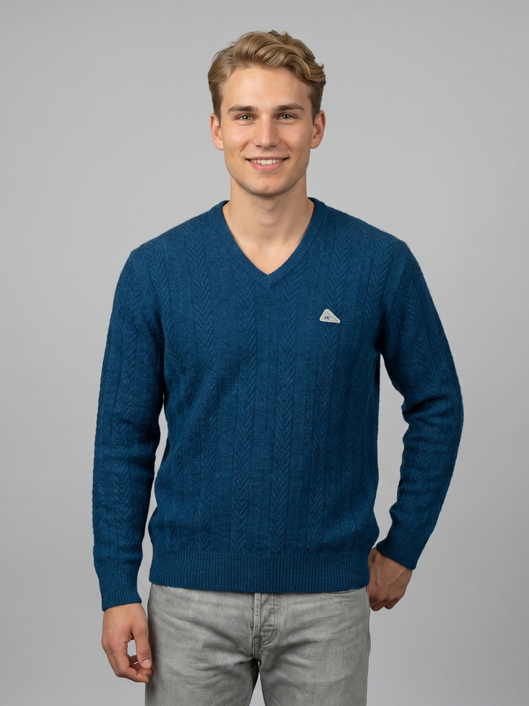 Men Blue Self Design V Neck Full Sleeve Pullover