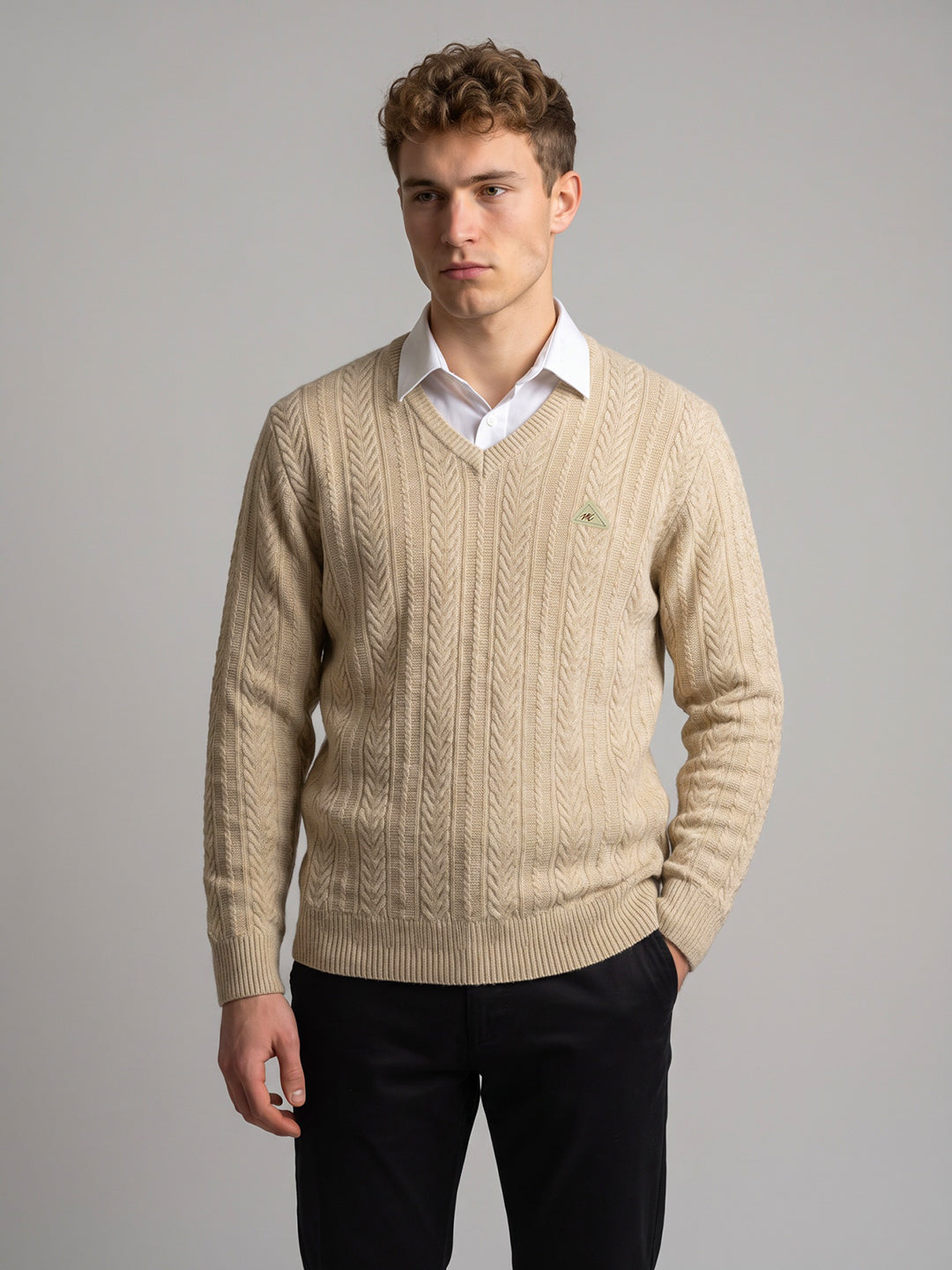 Men Beige Self Design V Neck Full Sleeve Pullover