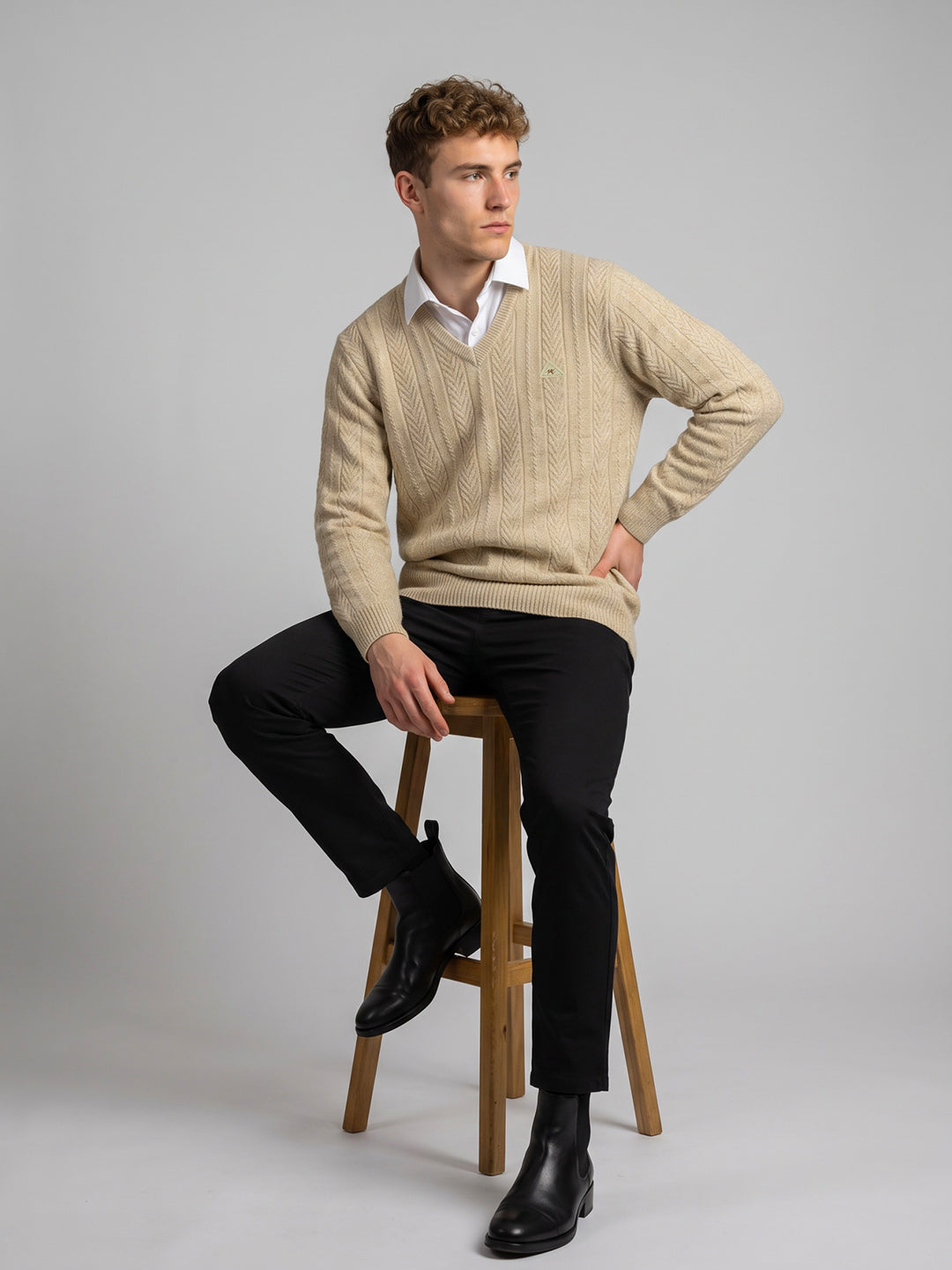 Men Beige Self Design V Neck Full Sleeve Pullover