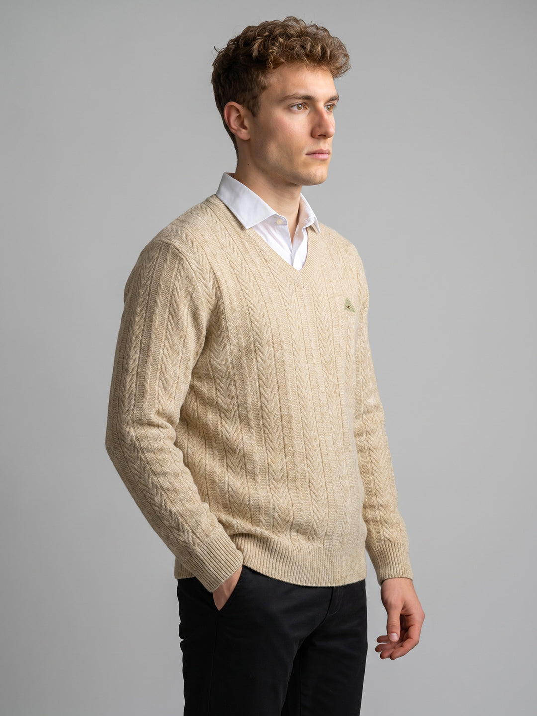 Men Beige Self Design V Neck Full Sleeve Pullover