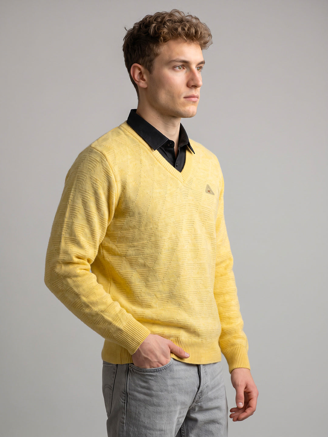 Men Yellow Self Design V Neck Full Sleeve Pullover