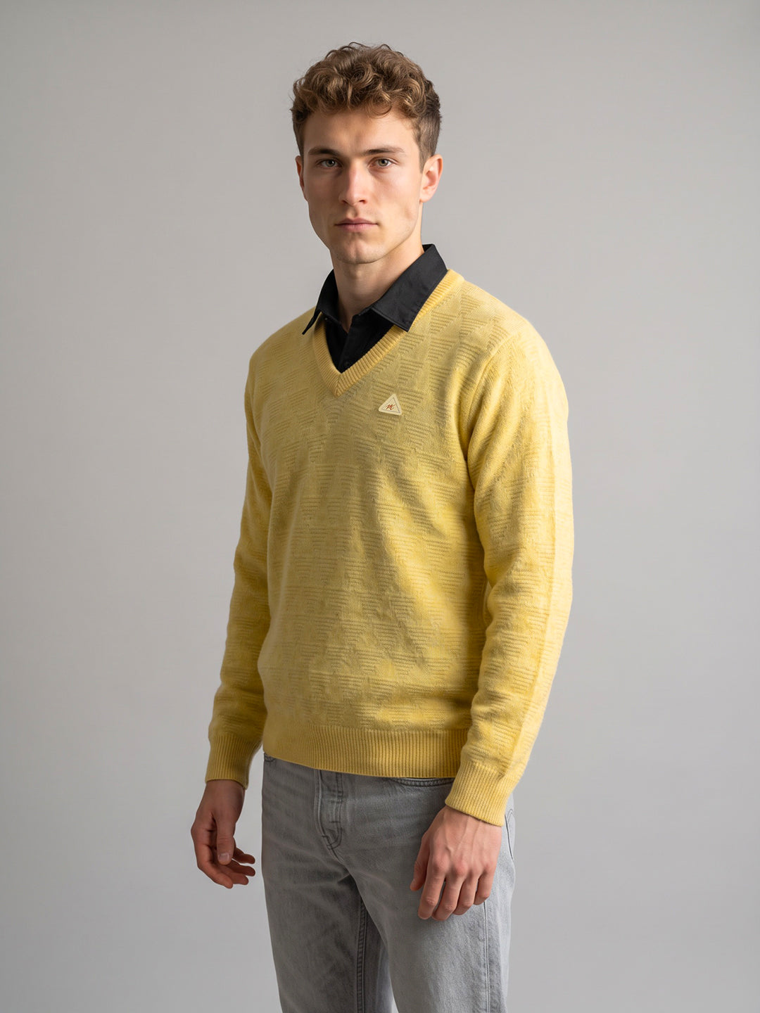 Men Yellow Self Design V Neck Full Sleeve Pullover
