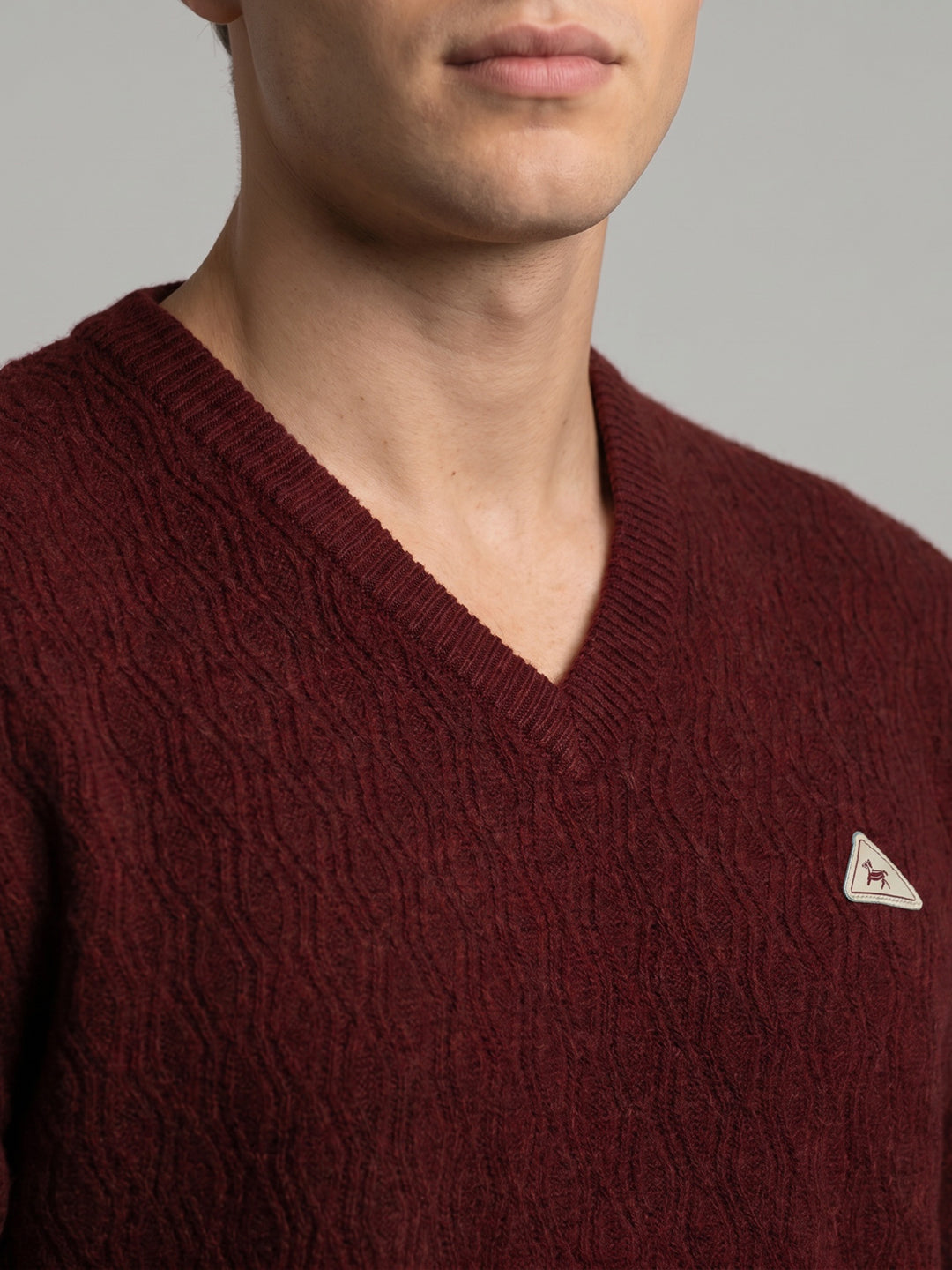 Men Maroon Self Design V Neck Full Sleeve Pullover