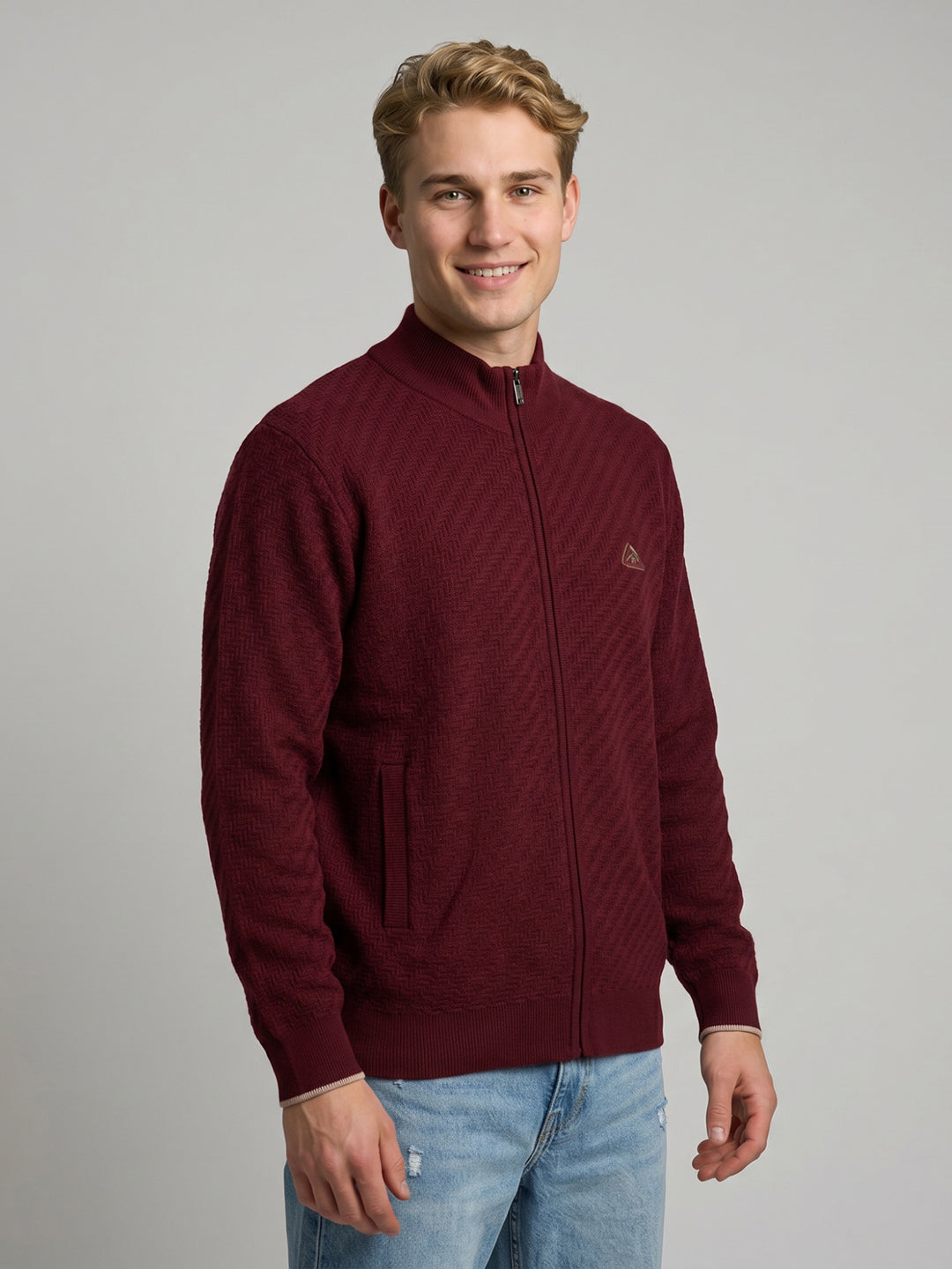 Men Purple Self Design Turtle Neck Full Sleeve Pullover