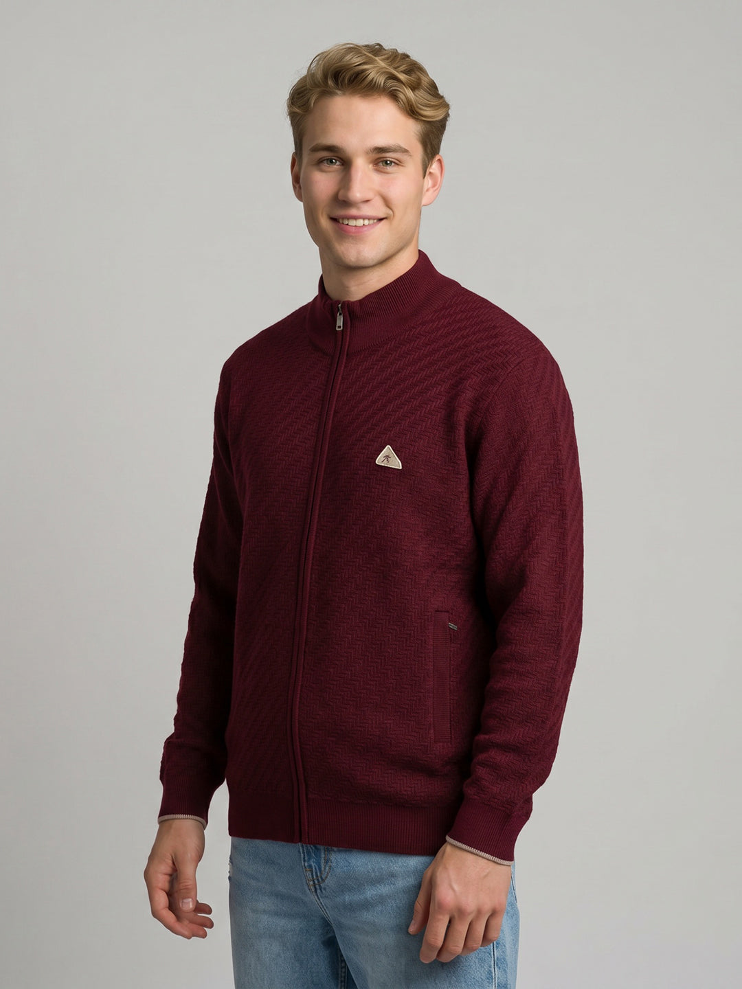 Men Purple Self Design Turtle Neck Full Sleeve Pullover