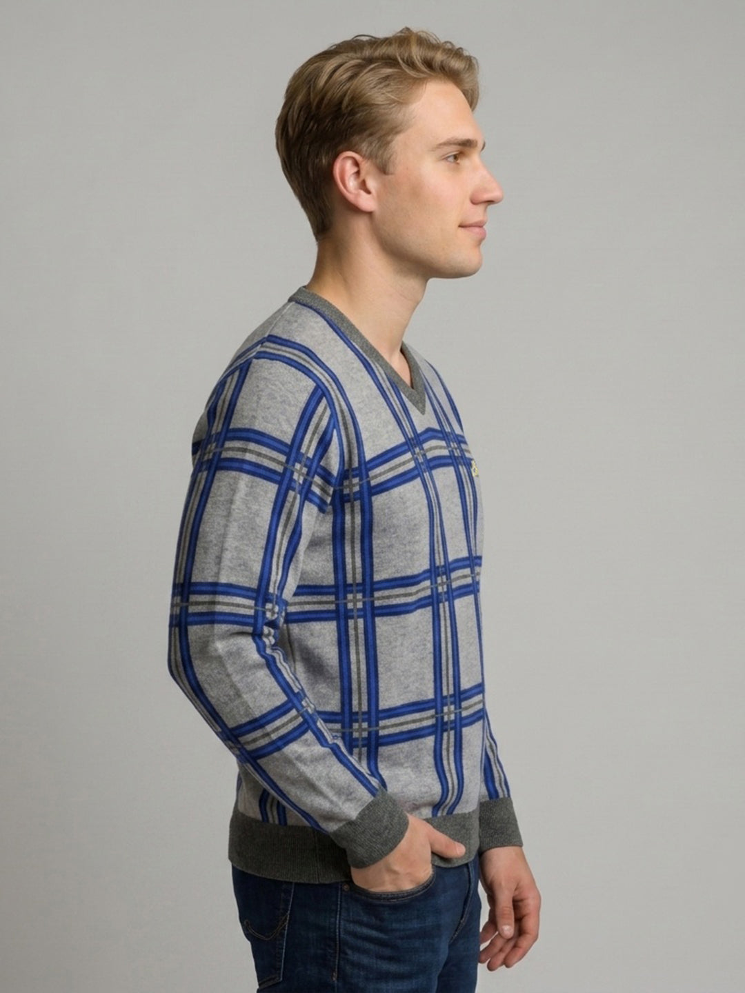 Men Grey Check V Neck Full Sleeve Pullover