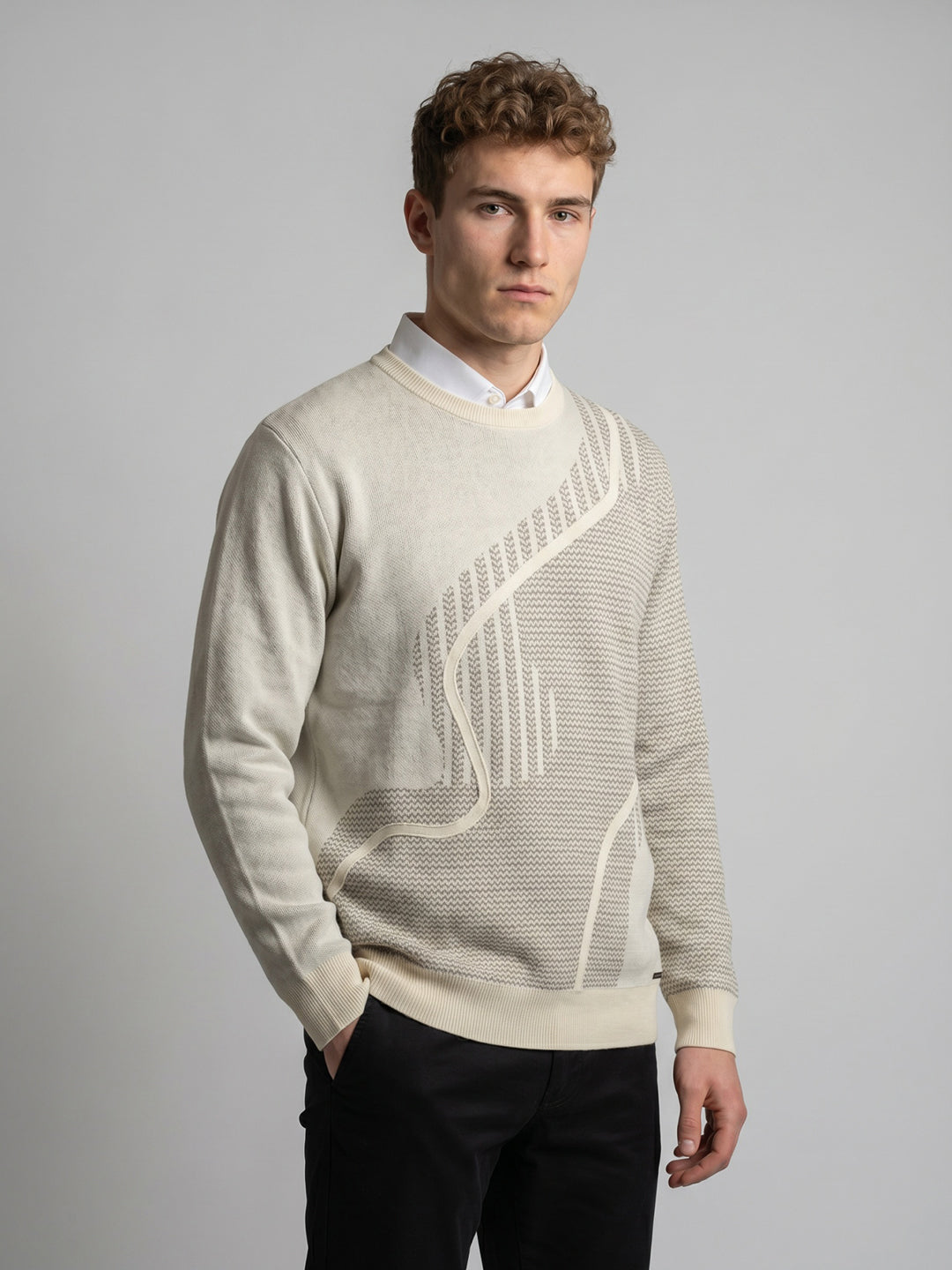 Men Beige Jacquard Round Neck Full Sleeve Pullover