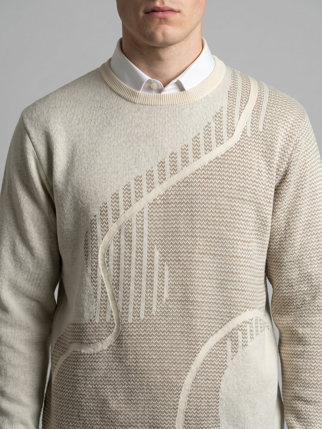Men Beige Jacquard Round Neck Full Sleeve Pullover