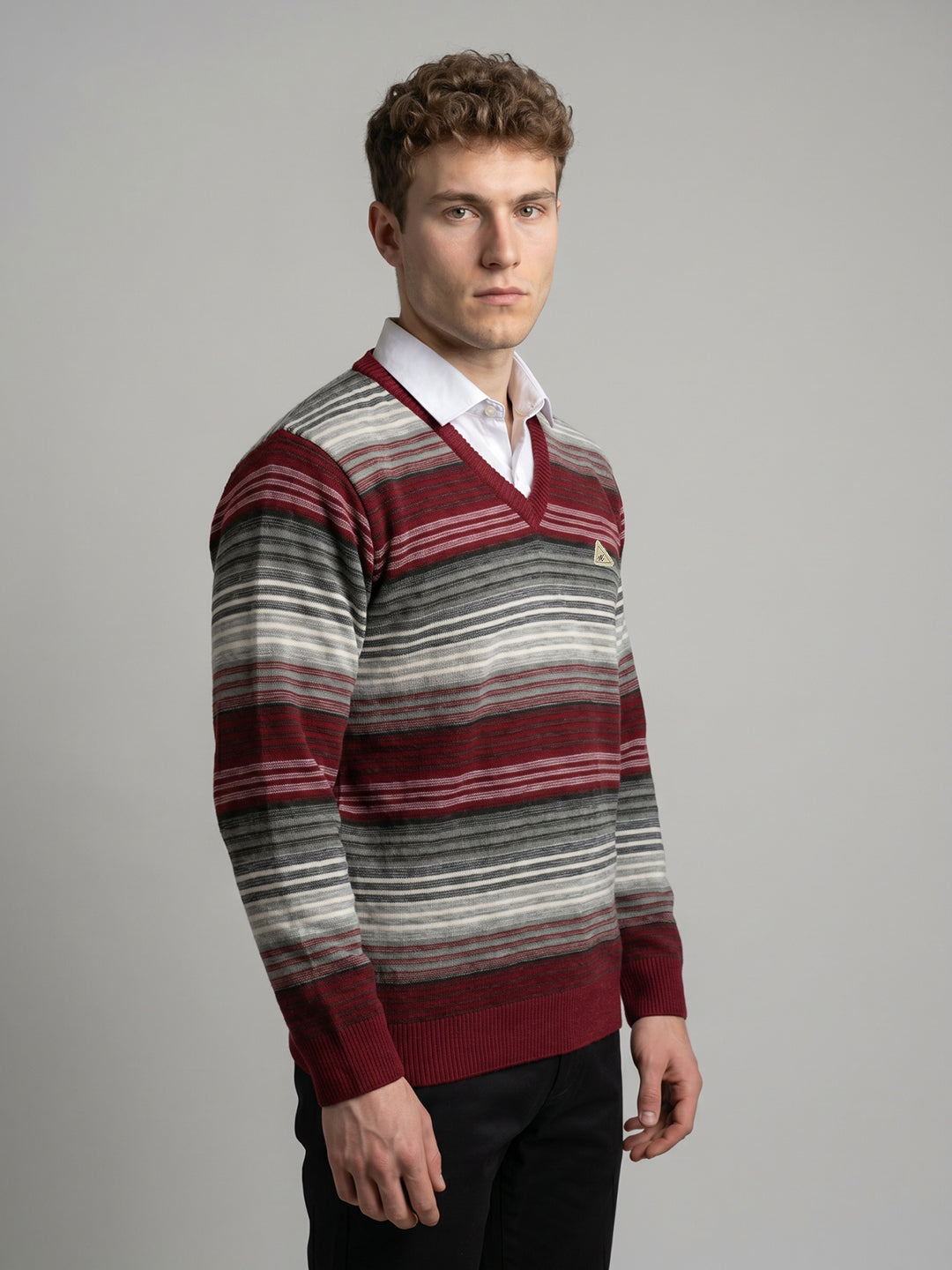 Men Purple Stripe V Neck Full Sleeve Pullover