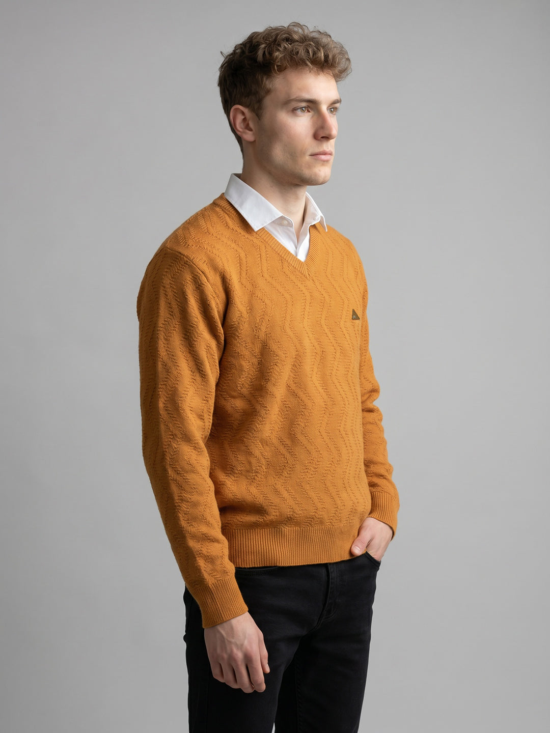 Men Multicolor Self Design V Neck Full Sleeve Pullover