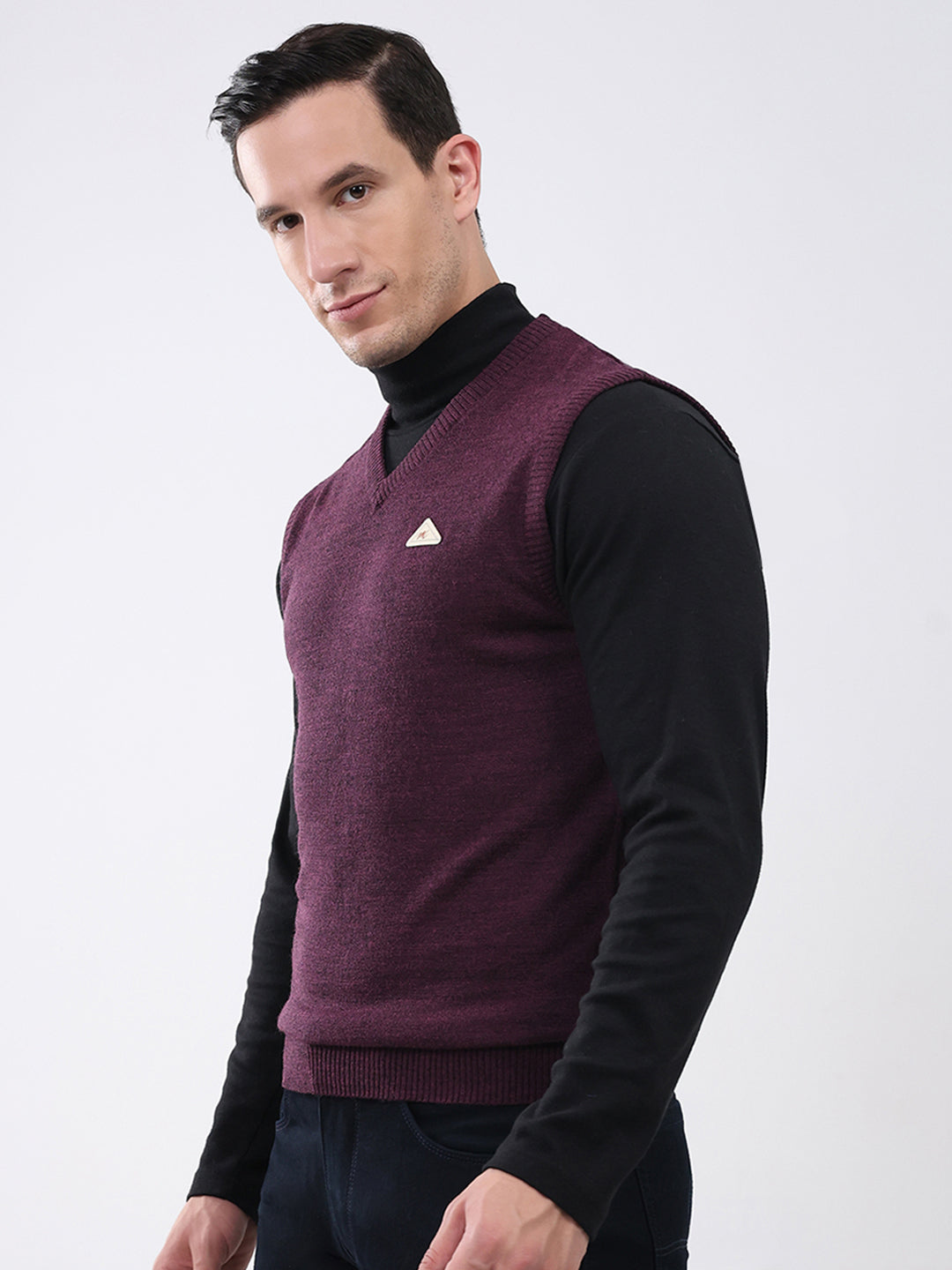 Men Purple Solid V Neck Sleeveless Sweater
