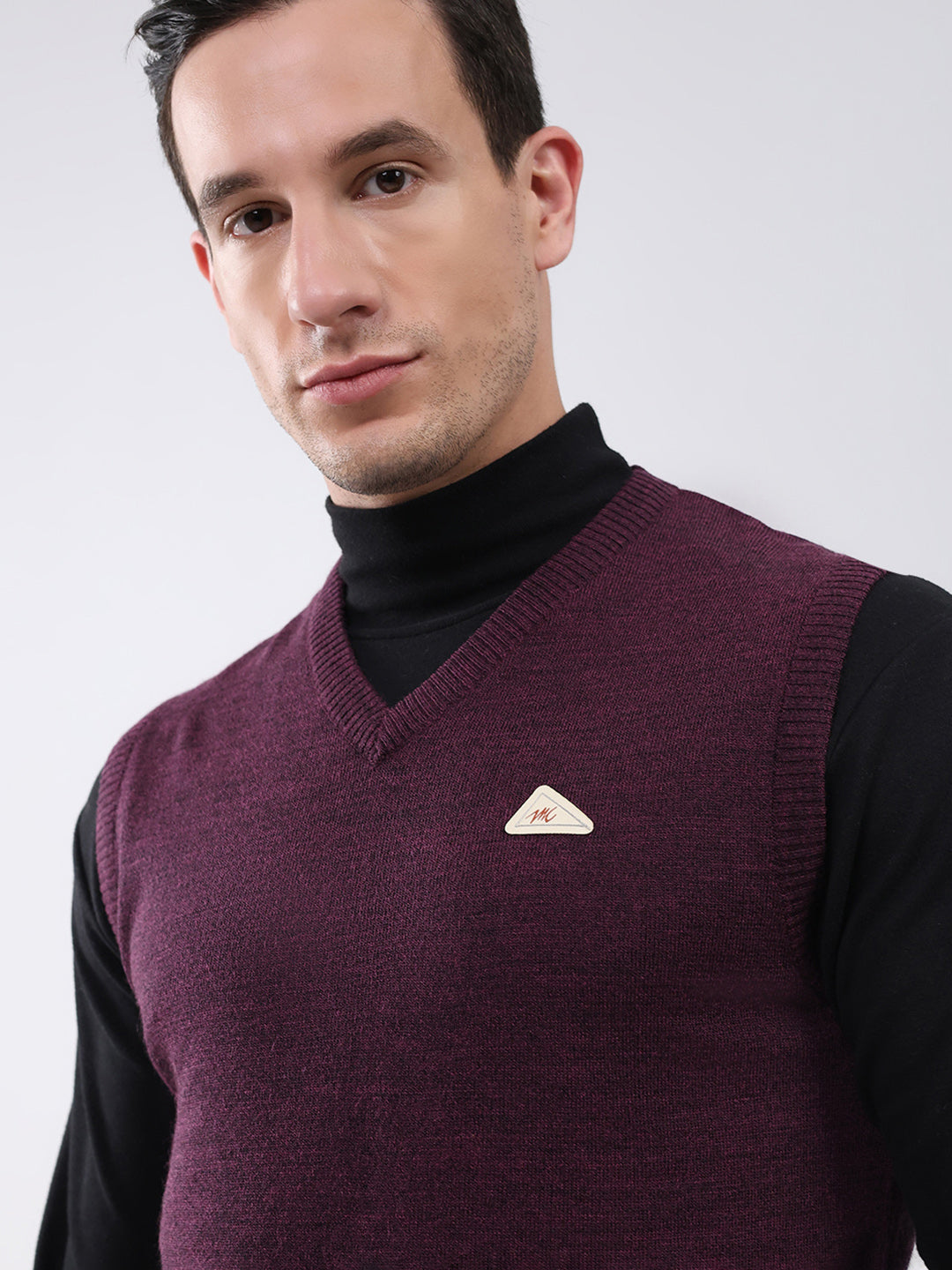Men Purple Solid V Neck Sleeveless Sweater