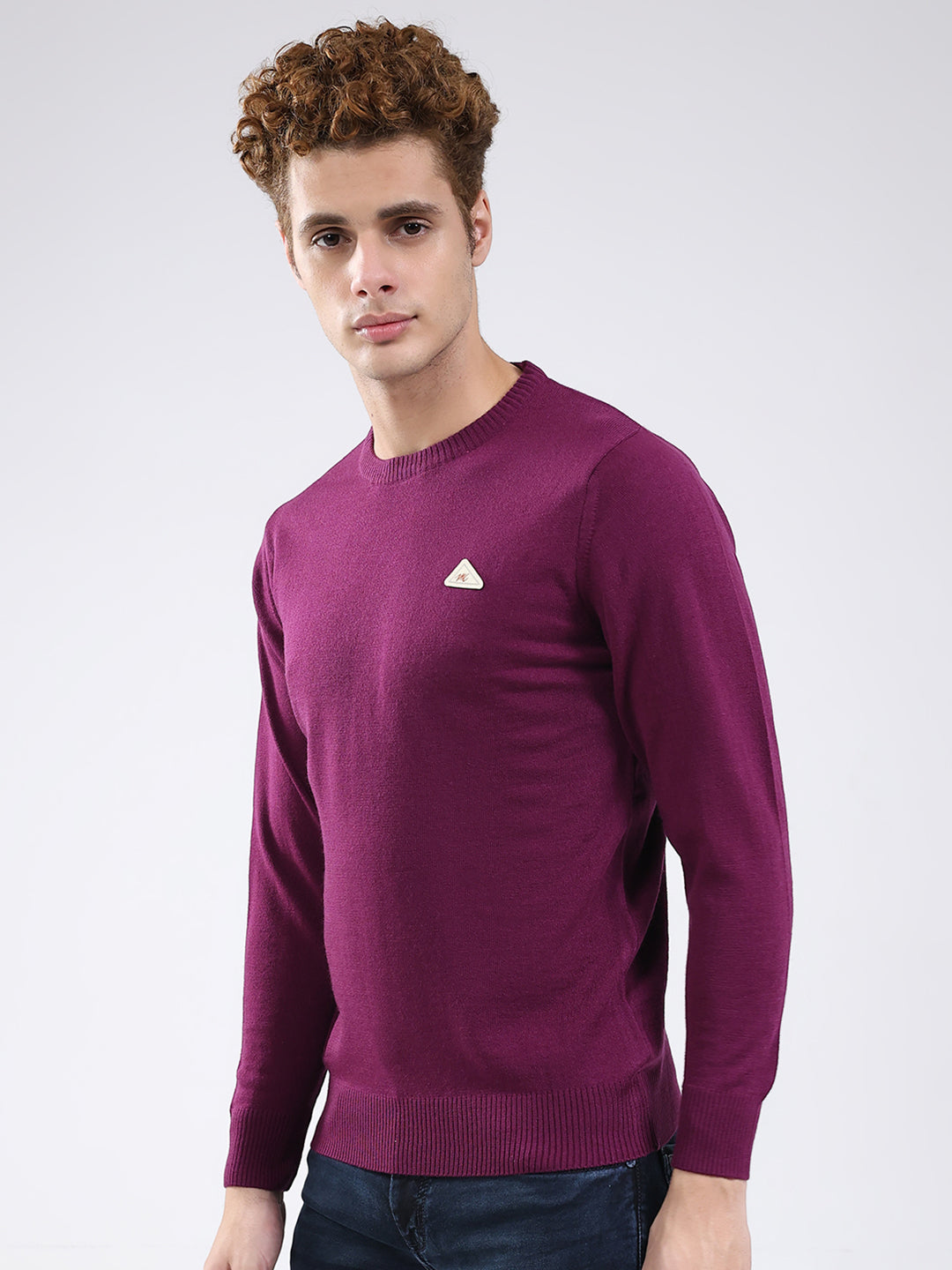Men Purple Solid Round Neck Full Sleeve Pullover
