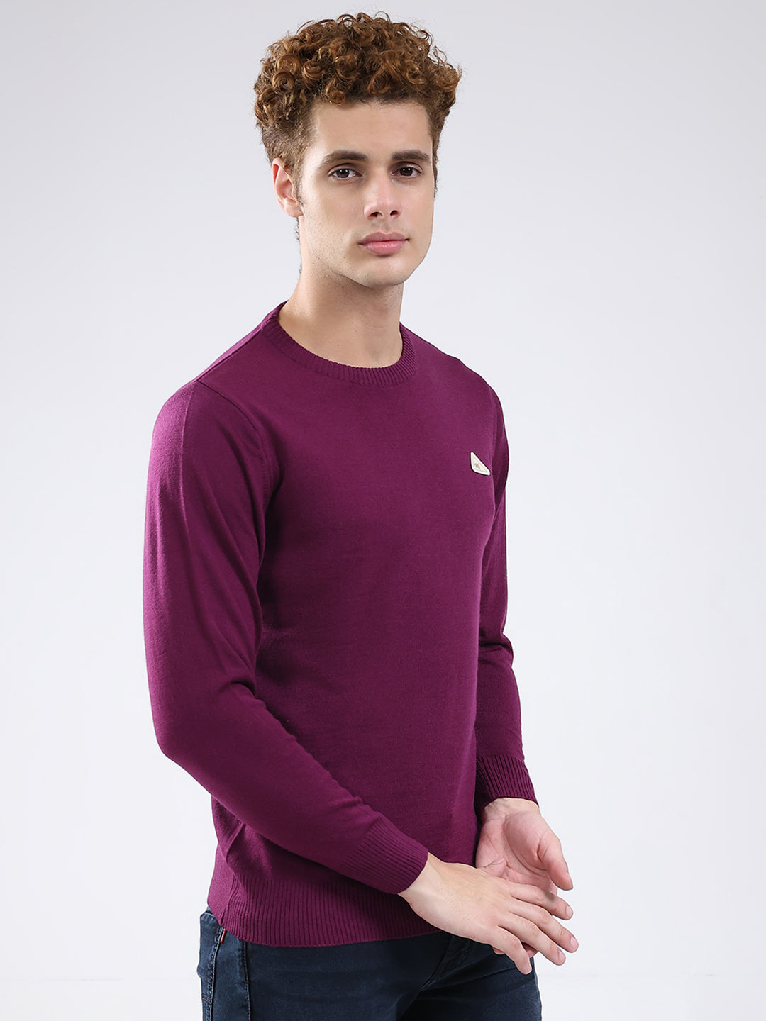 Men Purple Solid Round Neck Full Sleeve Pullover