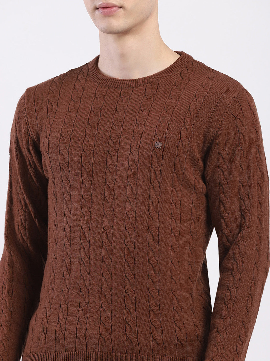 Men Brown Solid Round Neck Full Sleeve Pullover