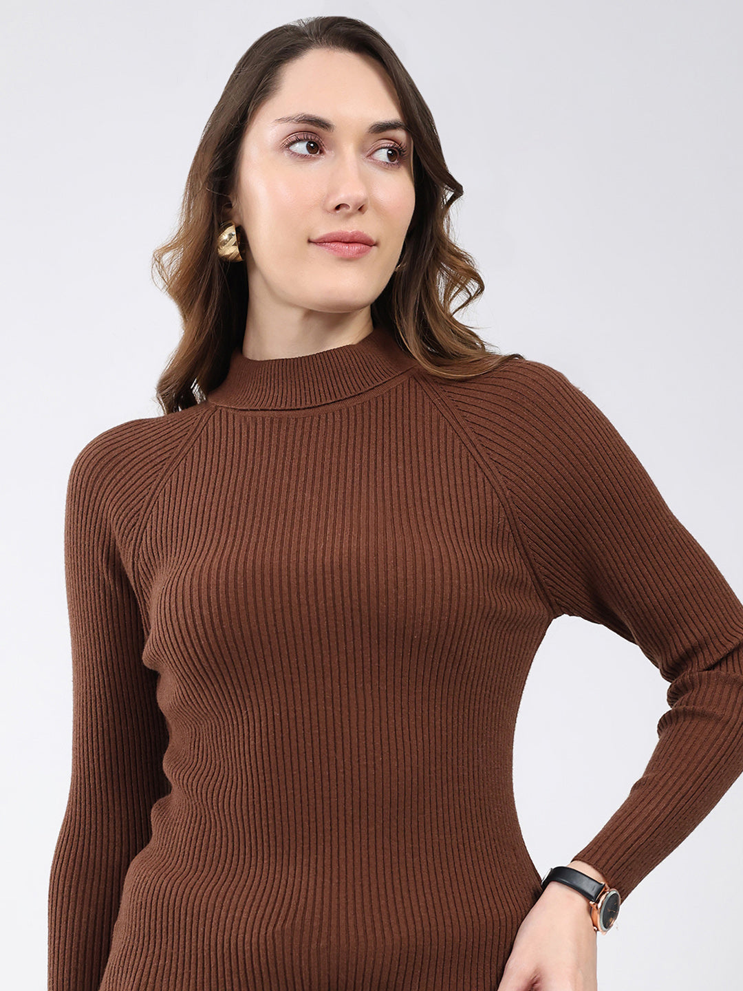 Women Brown Solid High Neck Full Sleeve Sceavy