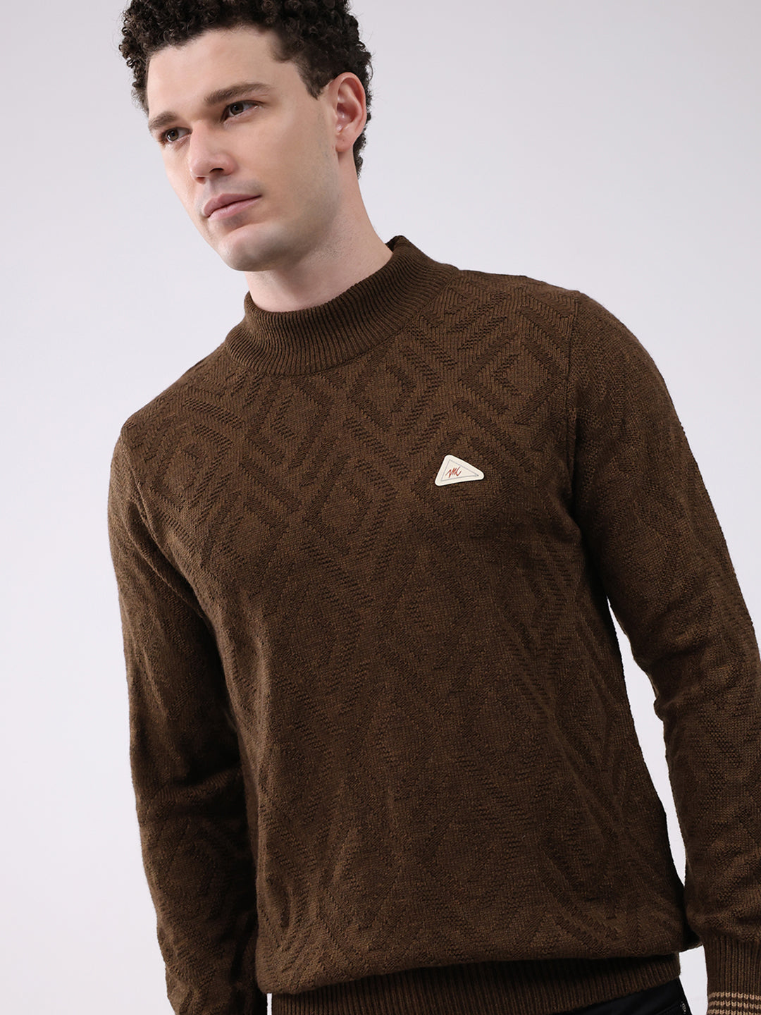 Men Brown Self Design Mock Neck Full Sleeve Pullover