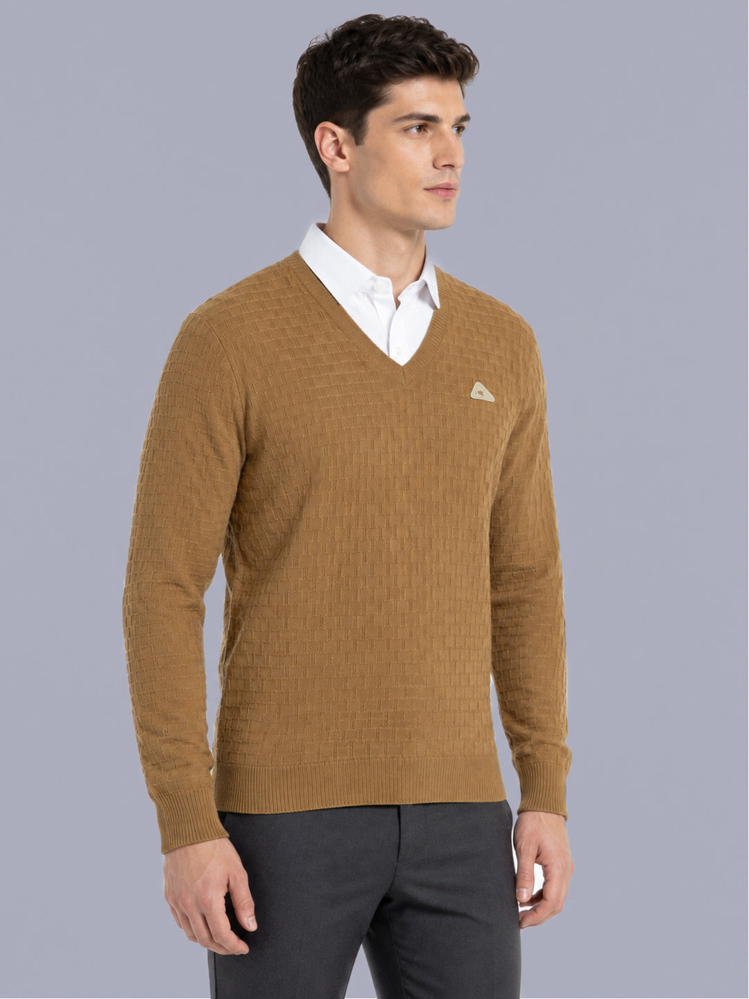 Men Camel Brown Self Design V Neck Full Sleeve Pullover