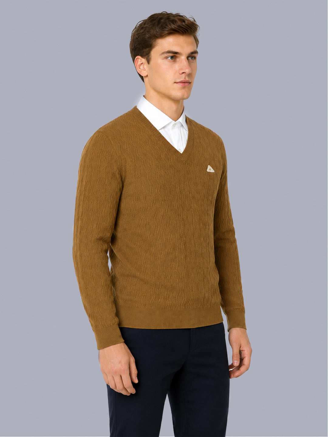 Men Mustard Self Design V Neck Full Sleeve Pullover