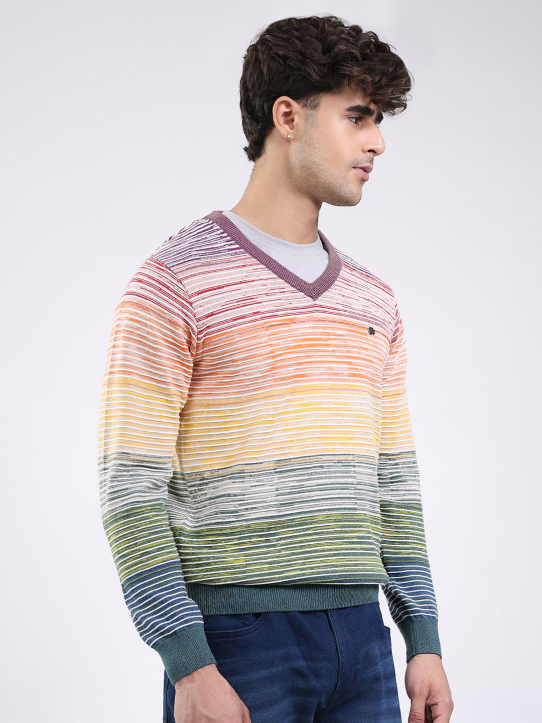 Men Multicolor Stripe V Neck Full Sleeve Pullover