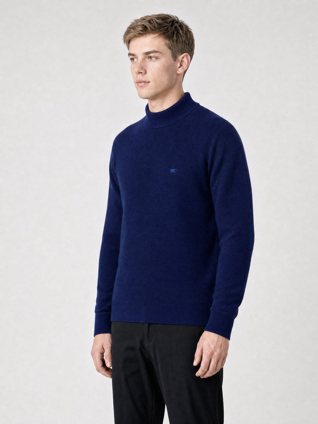 Men Blue Solid Turtle Neck Full Sleeve Pullover