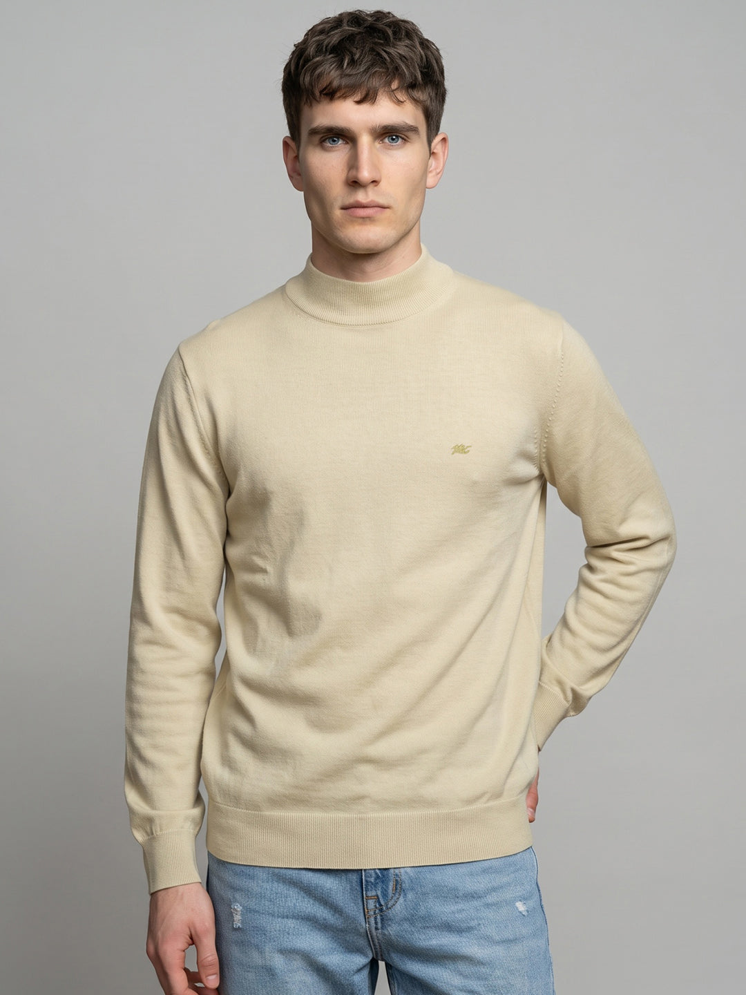 Men Cream Solid Turtle Neck Full Sleeve Pullover