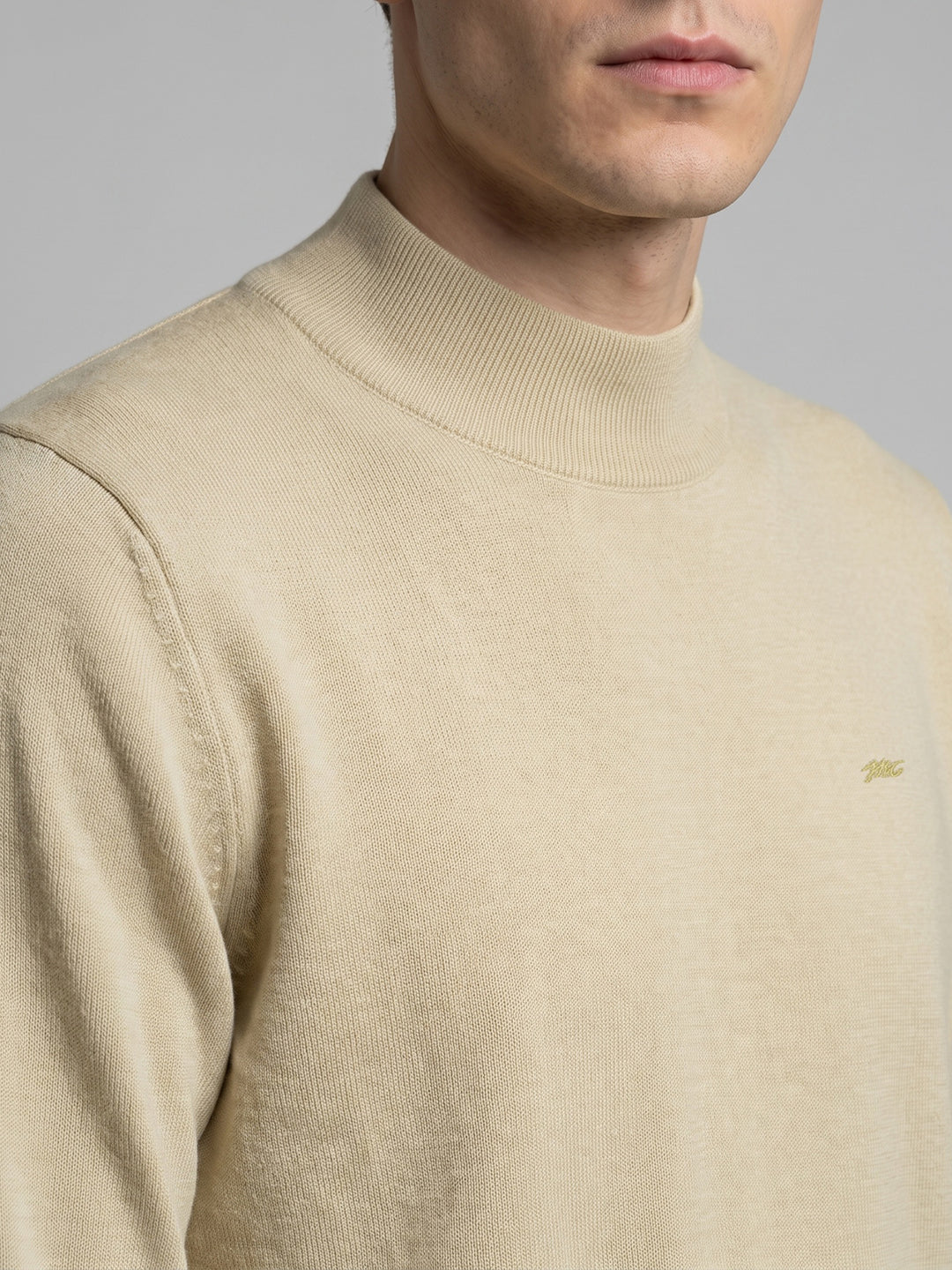 Men Cream Solid Turtle Neck Full Sleeve Pullover
