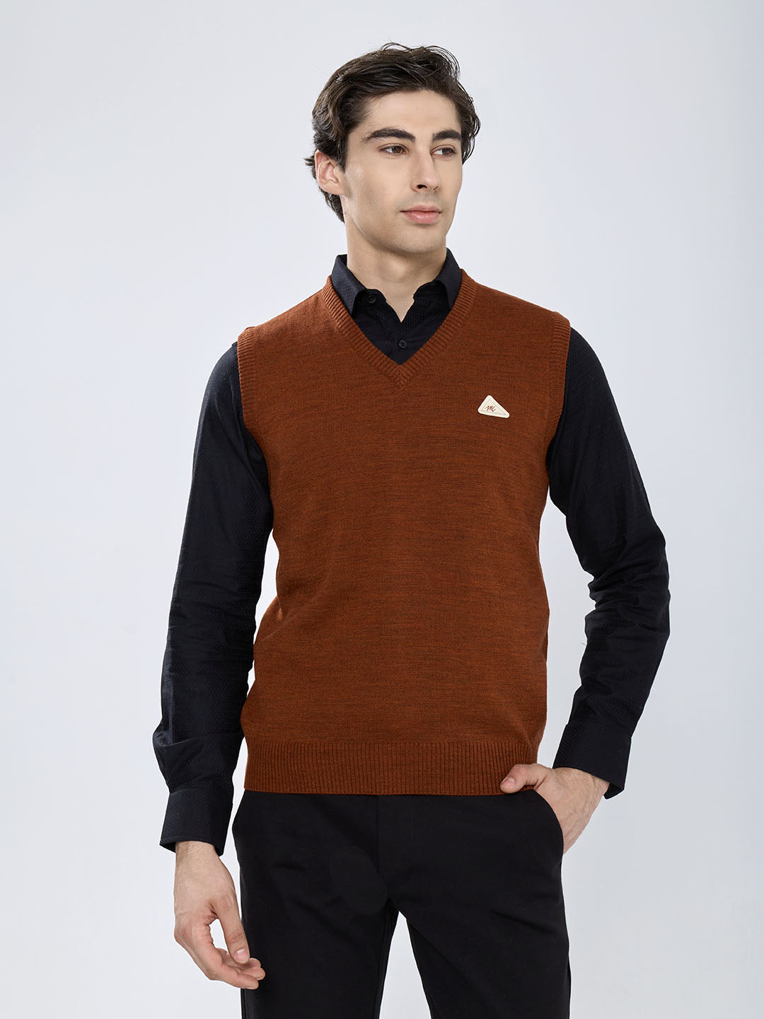 Men Rust Solid V Neck Sleeveless Sweater