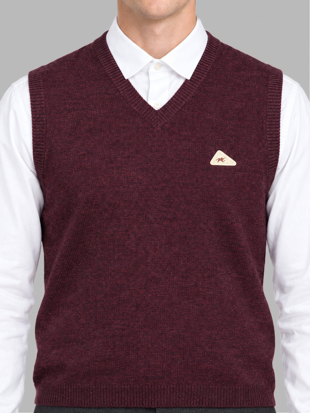 Men Purple Solid V Neck Sleeveless Sweater