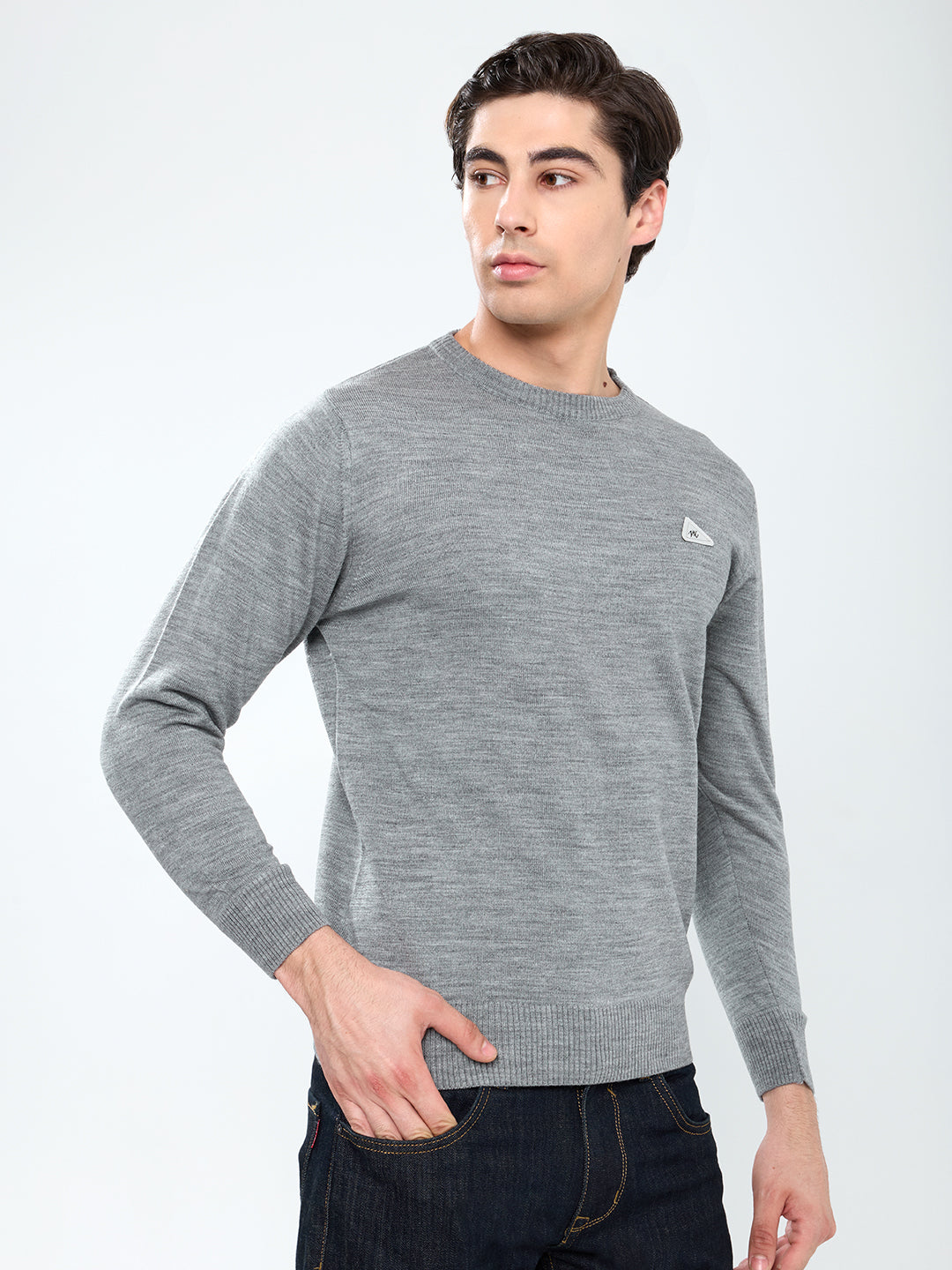 Men Grey Solid Round Neck Full Sleeve Pullover