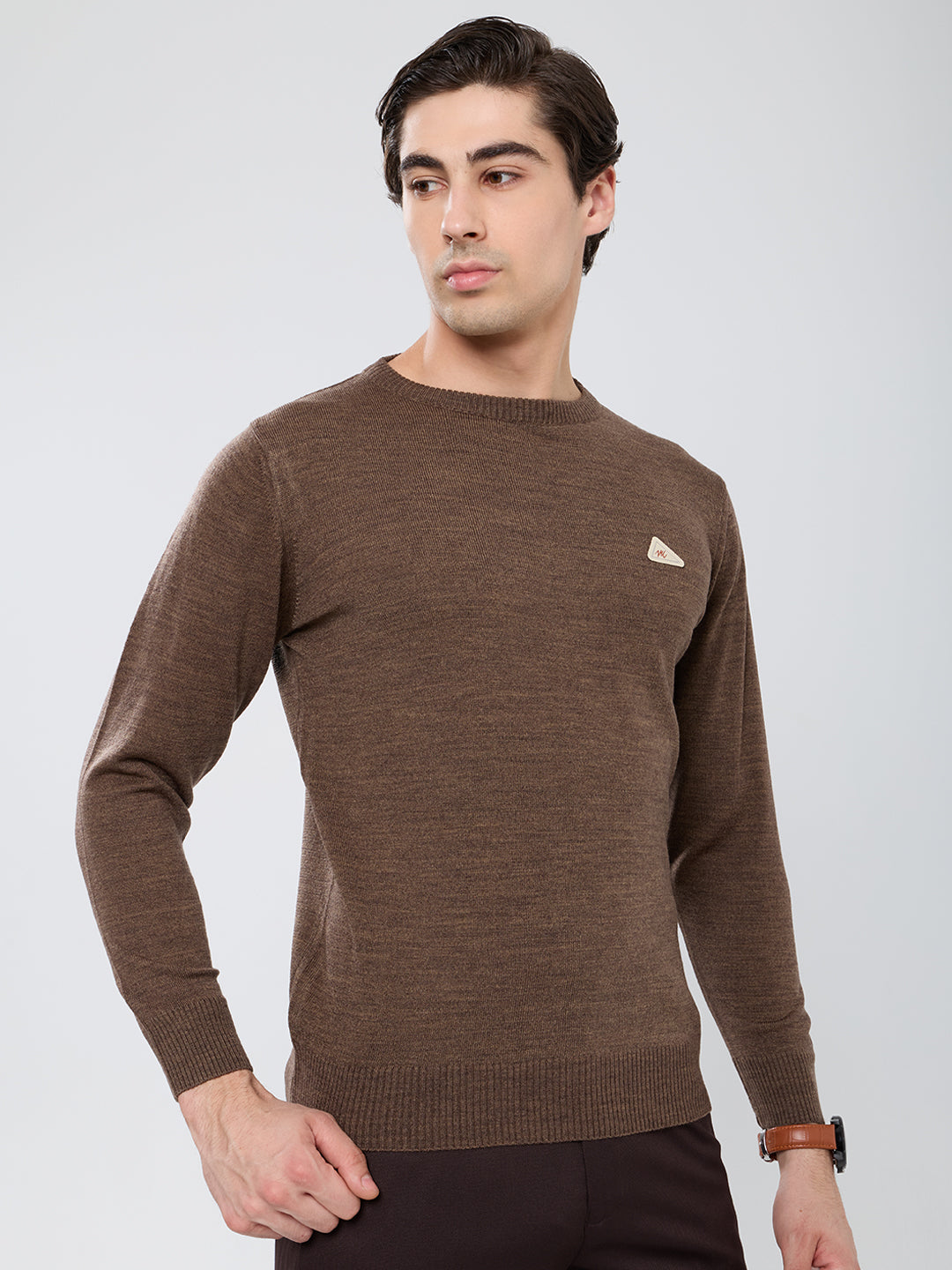 Men Brown Solid Round Neck Full Sleeve Pullover