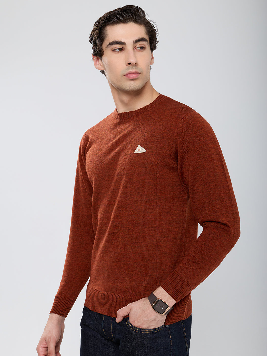 Men Rust Solid Round Neck Full Sleeve Pullover