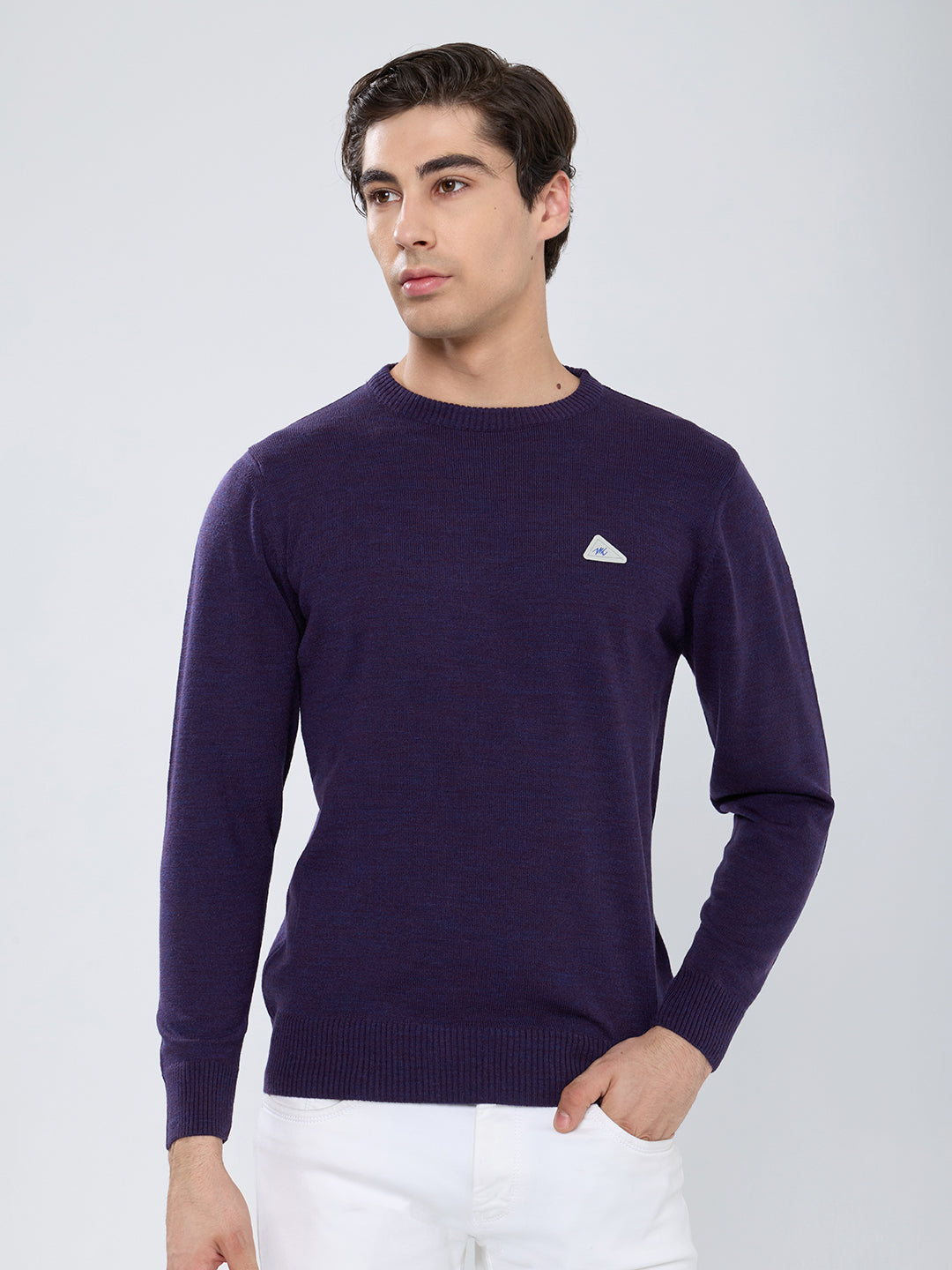 Men Purple Solid Round Neck Full Sleeve Pullover