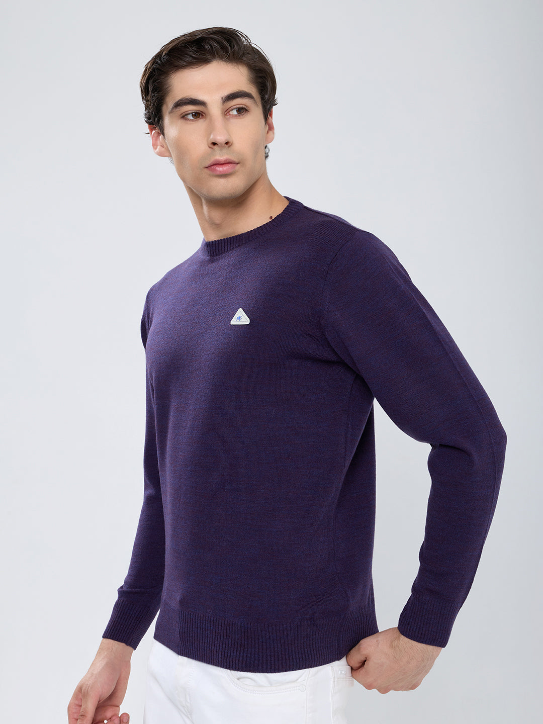 Men Purple Solid Round Neck Full Sleeve Pullover