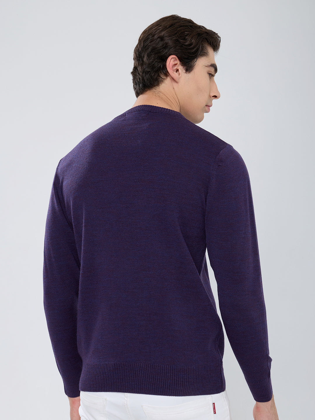 Men Purple Solid Round Neck Full Sleeve Pullover