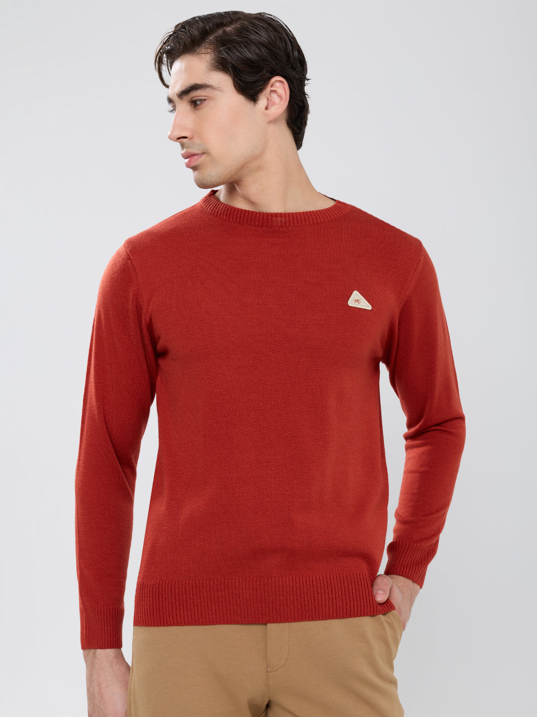 Men Rust Solid Round Neck Full Sleeve Pullover