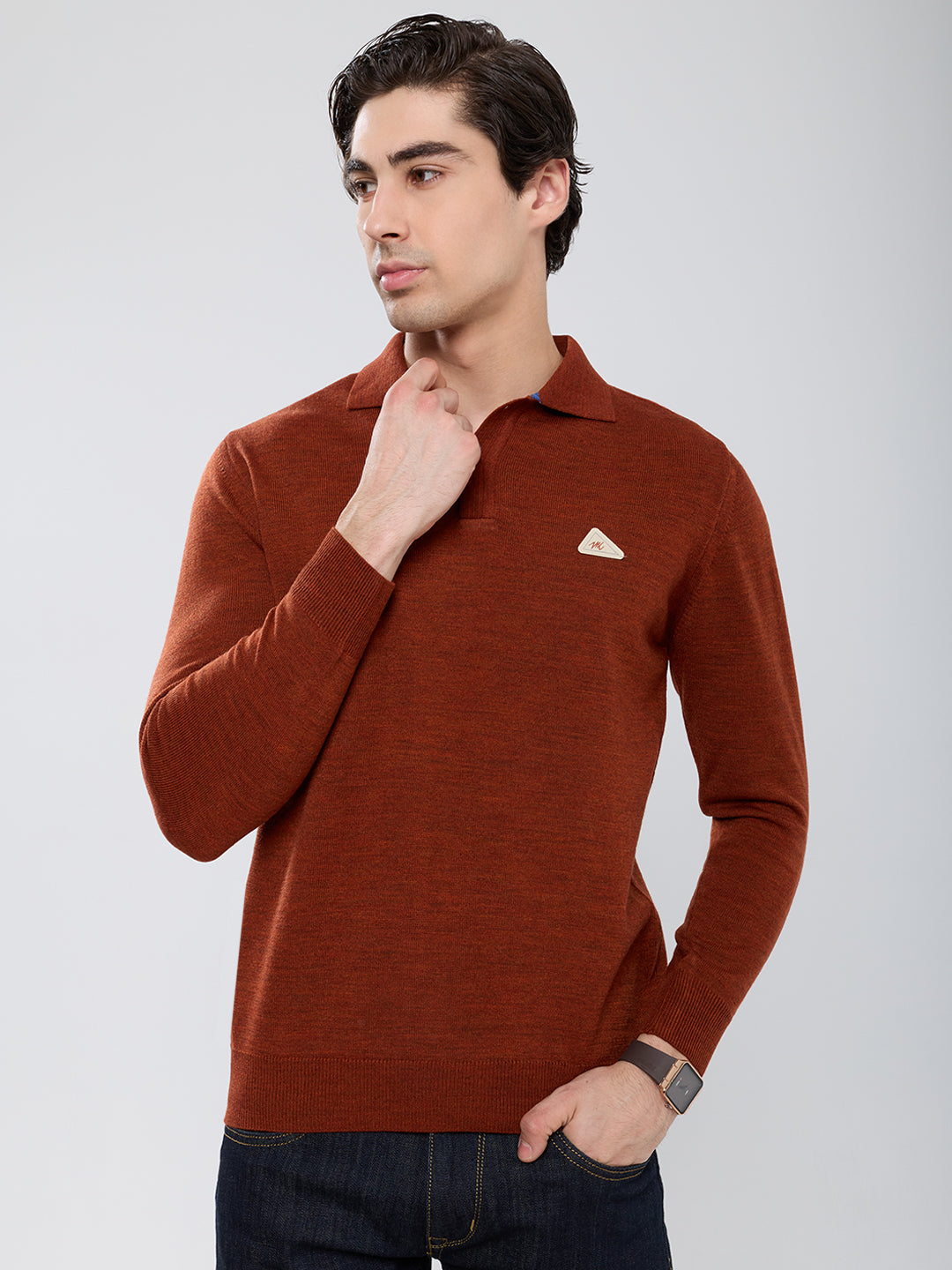 Men Rust Solid Polo Collar Full Sleeve Winter T-Shirt