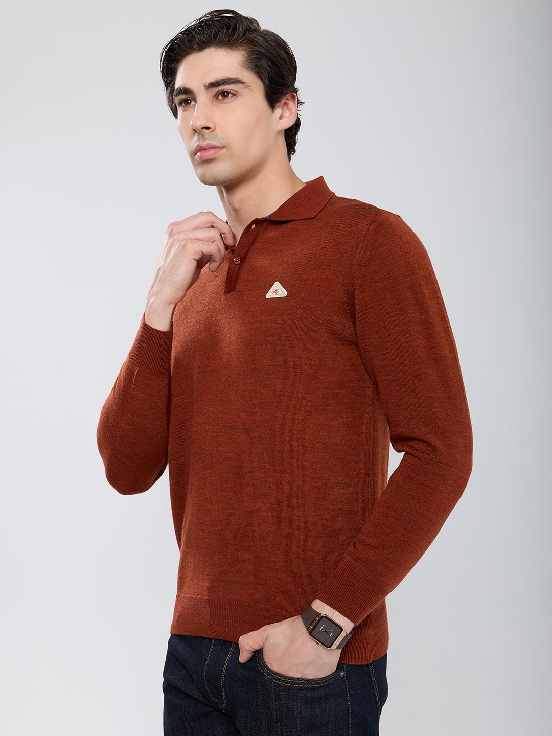 Men Rust Solid Polo Collar Full Sleeve Winter T-Shirt
