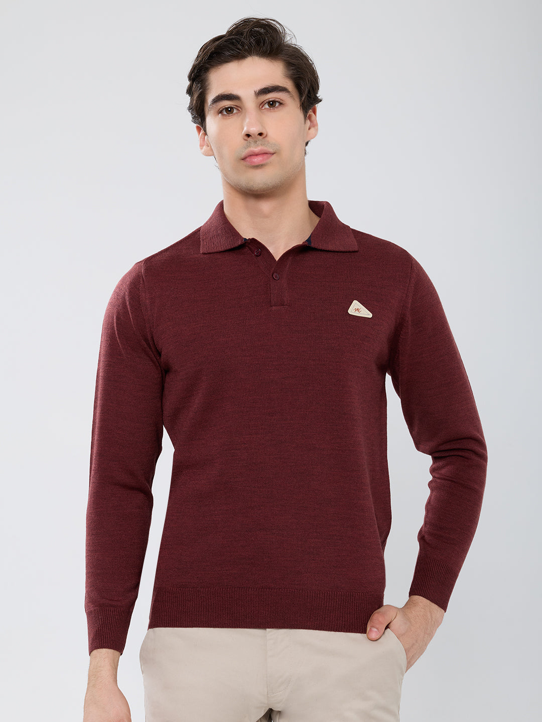 Men Brown Solid Polo Collar Full Sleeve Winter T-Shirt