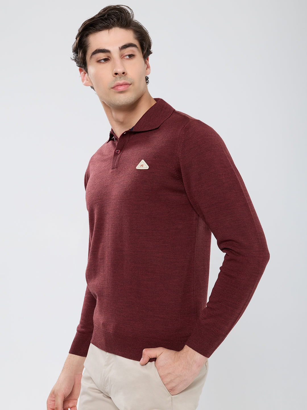 Men Brown Solid Polo Collar Full Sleeve Winter T-Shirt